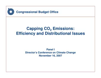 Capping CO 2 Emissions:  Efficiency and Distributional Issues  Panel I  Directors Conference on