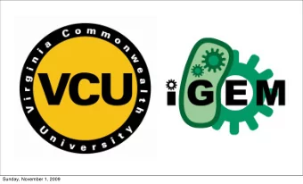 Sunday, November 1, 2009  Promoter Design, Characterization &amp; Consequences  Virginia