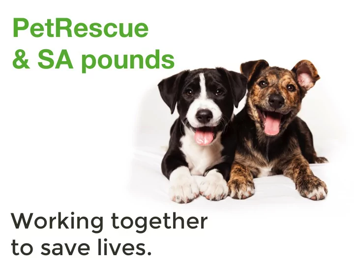 petrescue sa pounds