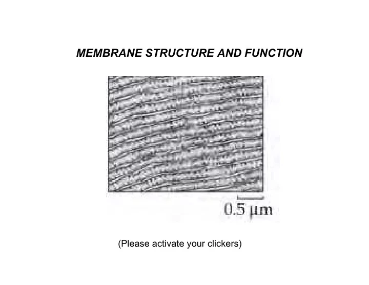 membrane structure and function