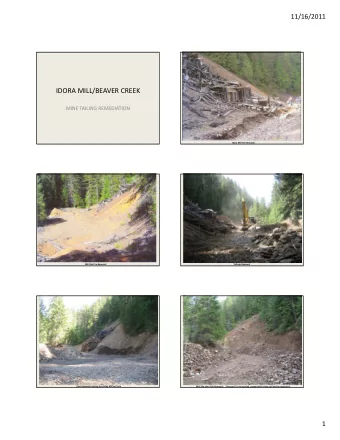 IDORA MILL/BEAVER CREEK MINE TAILING REMEDIATION Idora Mill Pre  Removal Mill Site Pre