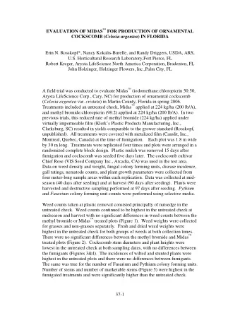EVALUATION OF MIDAS  FOR PRODUCTION OF ORNAMENTAL COCKSCOMB ( Celosia argentea ) IN FLORIDA