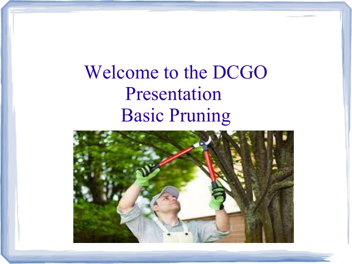welcome to the dcgo presentation basic pruning