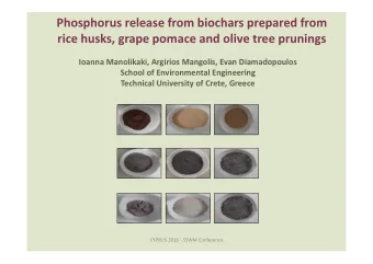 Phosphorus release from biochars prepared from rice husks, grape pomace and olive tree prunings