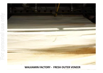 For personal use only  Banana Tree Trunk Cross Section (fresh billet)  WALKAMIN FACTORY - FRESH