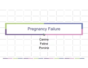 Pregnancy Failure  Canine  Feline  Porcine  Dog and cat  Canine conceptus  Dogs and Cats  Zonary