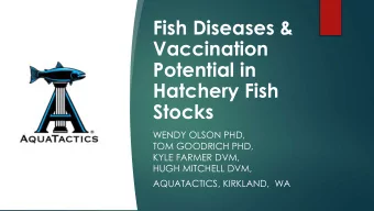 Vaccination  Potential in  Hatchery Fish  Stocks  WENDY OLSON PHD,  TOM GOODRICH PHD,  KYLE FARMER