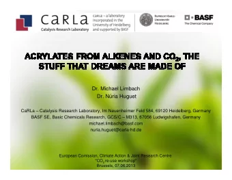 Dr. Michael Limbach  Dr. Nria Huguet  CaRLa  Catalysis Research Laboratory, Im Neuenheimer