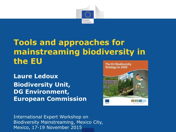 mainstreaming biodiversity in