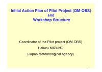 initial action plan of pilot project qm obs initial