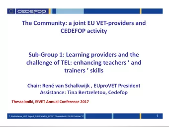The Community: a joint EU VET-providers and  CEDEFOP activity  Sub-Group 1: Learning providers and