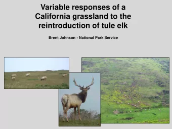 Variable responses of a  California grassland to the  reintroduction of tule elk  Brent Johnson -