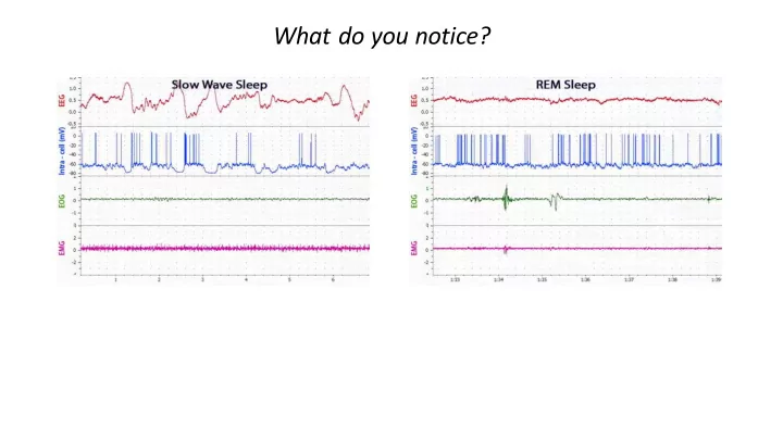what do you notice sl slow wave ne netwo works