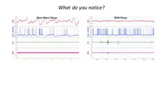 What do you notice?  Sl  Slow wave ne  netwo  works Crunelli and Hughes, Nature Neuroscience , 2010
