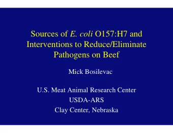 Sources of E. coli O157:H7 and  Interventions to Reduce/Eliminate  Pathogens on Beef  Mick