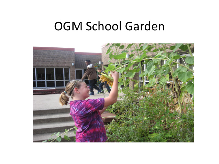 ogm school garden garden goal