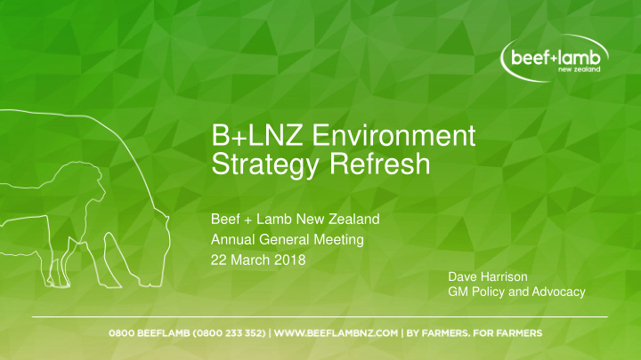 b lnz environment strategy refresh