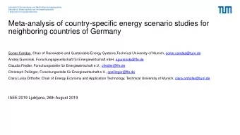 Meta-analysis of country-specific energy scenario studies for  neighboring countries of Germany