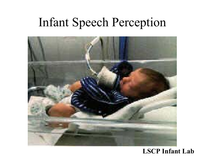 infant speech perception