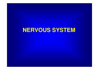 NERVOUS SYSTEM  Nervous System  Peripheral Nervous System  Central Nervous System  ( PNS )  ( CNS )