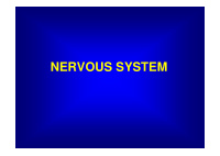 nervous system nervous system