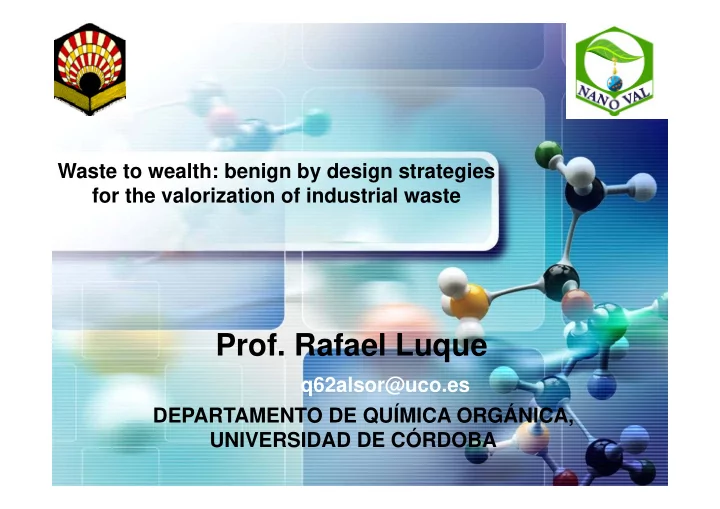 prof rafael luque