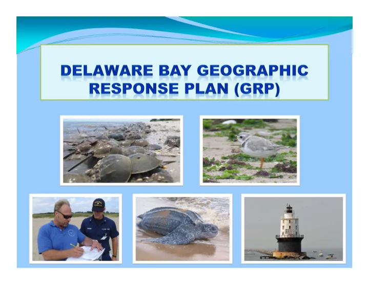 delaware bay grp