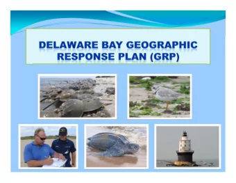 Delaware Bay GRP  For the States of Delaware, New Jersey, and Pennsylvania Area Committee Led