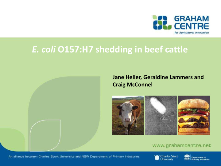 e coli o157 h7 shedding in beef cattle
