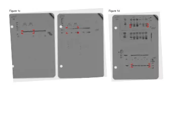 Figure 1c  Figure 1d  Figure 1g  Figure 1f  Supplementary  Figure 1c  Supplementary  Figure 1g