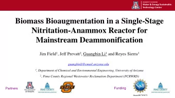 Biomass Bioaugmentation in a Single-Stage  Nitritation-Anammox Reactor for  Mainstream