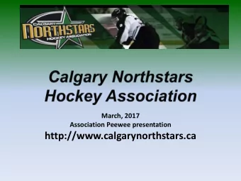 http://www.calgarynorthstars.ca Northstar Brand  We are the Calgary NORTHSTARS HOCKEY ASSOCIATION.