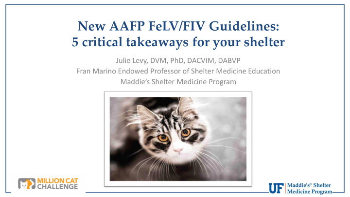 new aafp felv fiv guidelines 5 critical takeaways for