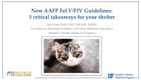 new aafp felv fiv guidelines 5 critical takeaways for