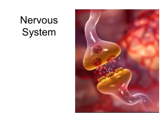 Nervous  System  Overview  functional and structural overview  histology