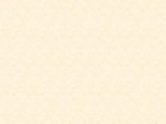 The Gateway Master Plan  The Concept Presentation  for the  Williams Drive Gateway