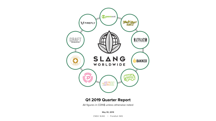q1 2019 quarter report