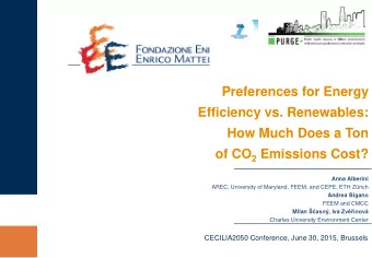 Preferences for Energy  Efficiency vs. Renewables:  How Much Does a Ton of CO 2 Emissions Cost?