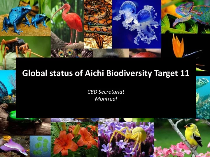 global status of aichi biodiversity target 11