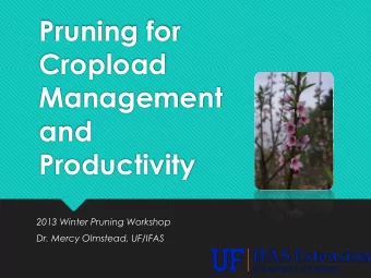 Pruning for  Cropload  Management  and  Productivity  2013 Winter Pruning Workshop  Dr. Mercy