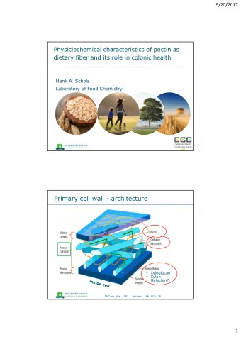 Primary cell wall - architecture  Xyloglucan  Xylan  Galactan?  McCann et al. 1992 J.