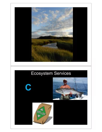 C  The TIDE Project  www.mbl.edu/tide  Whole-ecosystem manipulations in  Plum Island Estuary, MA