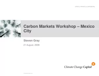 Carbon Markets Workshop  Mexico  City  Steven Gray  21 August, 2009  F:\Presentation august