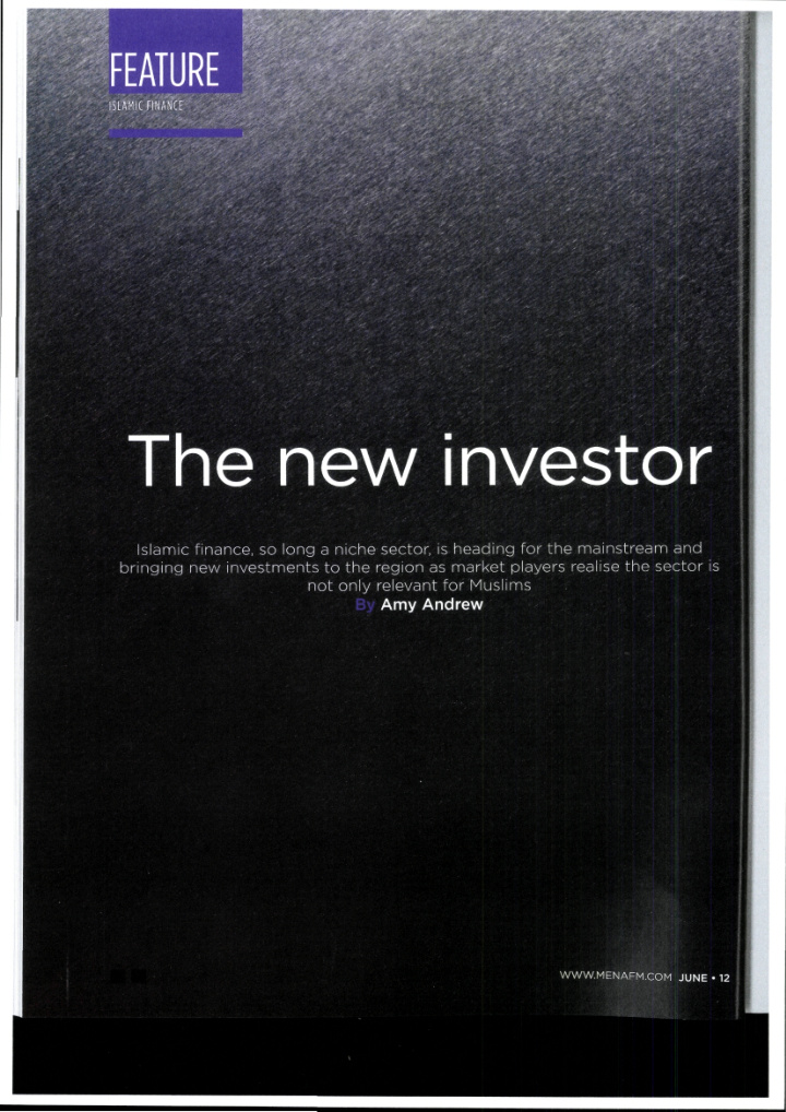 the new investor