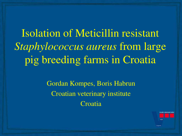 isolation of meticillin resistant staphylococcus aureus