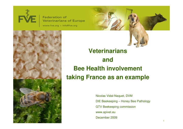 veterinarians and bee health involvement taking france as