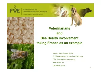 Veterinarians  and  Bee Health involvement  taking France as an example  Nicolas Vidal-Naquet, DVM