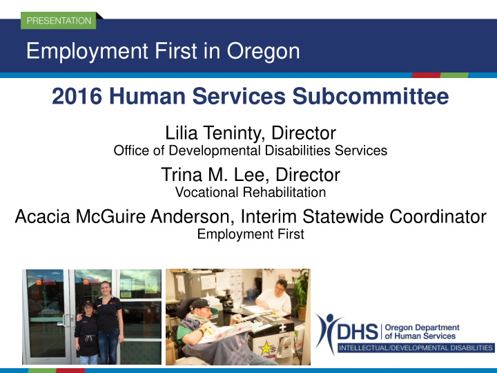 2016 human services subcommittee