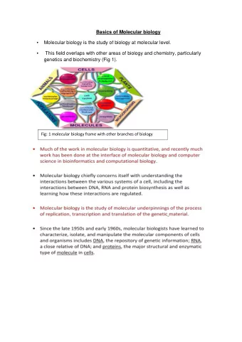 Basics of Molecular biology   Molecular biology is the study of biology at molecular level.