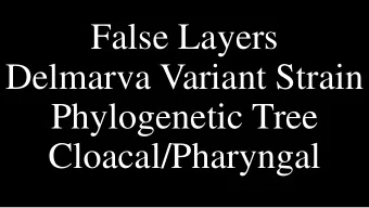 False Layers  Delmarva Variant Strain  Phylogenetic Tree  Cloacal/Pharyngal  One of these 50 week